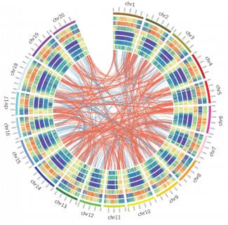 Bioinformatics