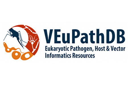 VEuPathDB logo