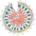 Bioinformatics